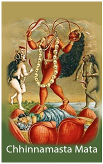 tarot.ideazunlimited.net.greek worrier Alexander the Great